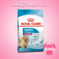 [500g.] ROYAL CANIN โรยัล คานิน อาหารลูกสุนัข พันธุ์เล็ก เลี้ยงในบ้าน ขนาด 500g ชนิดเม็ด (MINI INDOOR PUPPY) [500 g]