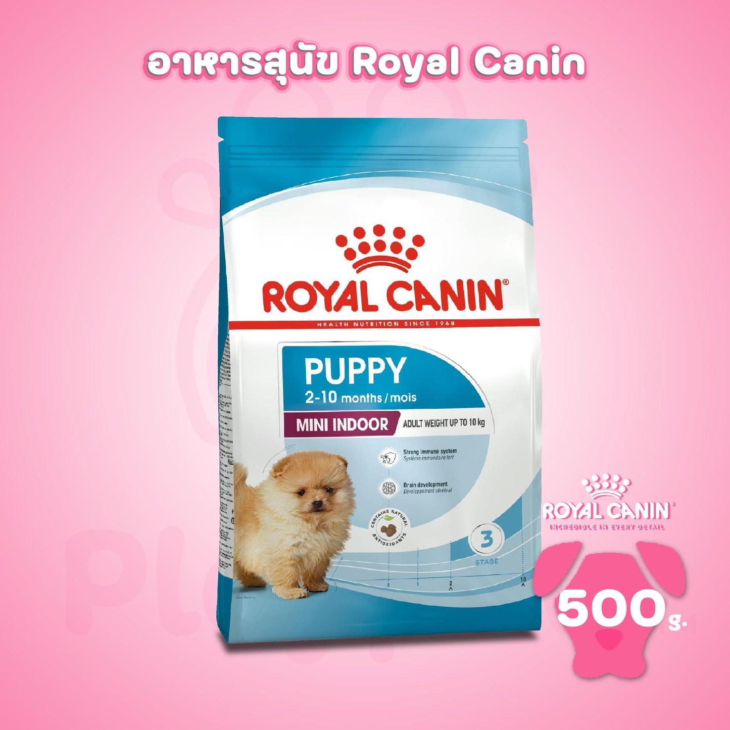 [500g.] ROYAL CANIN โรยัล คานิน อาหารลูกสุนัข พันธุ์เล็ก เลี้ยงในบ้าน ขนาด 500g ชนิดเม็ด (MINI INDOOR PUPPY) [500 g]