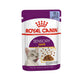 [ปลีก 1 ซอง] ROYAL CANIN Pouch อาหารเปียก รอยัล คานิน  สำหรับแมวทุกช่วงวัย ขนาดซอง 85 กรัม(g.)