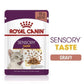 [ยกกล่อง 12 ซอง] Royal Canin Sensory Taste Pouch อาหารเปียกแมวโต กินอาหารยาก เลือกกิน รสชาติพิเศษ อายุ 12 เดือนขึ้นไป (Wet Cat Food, โรยัล คานิน)