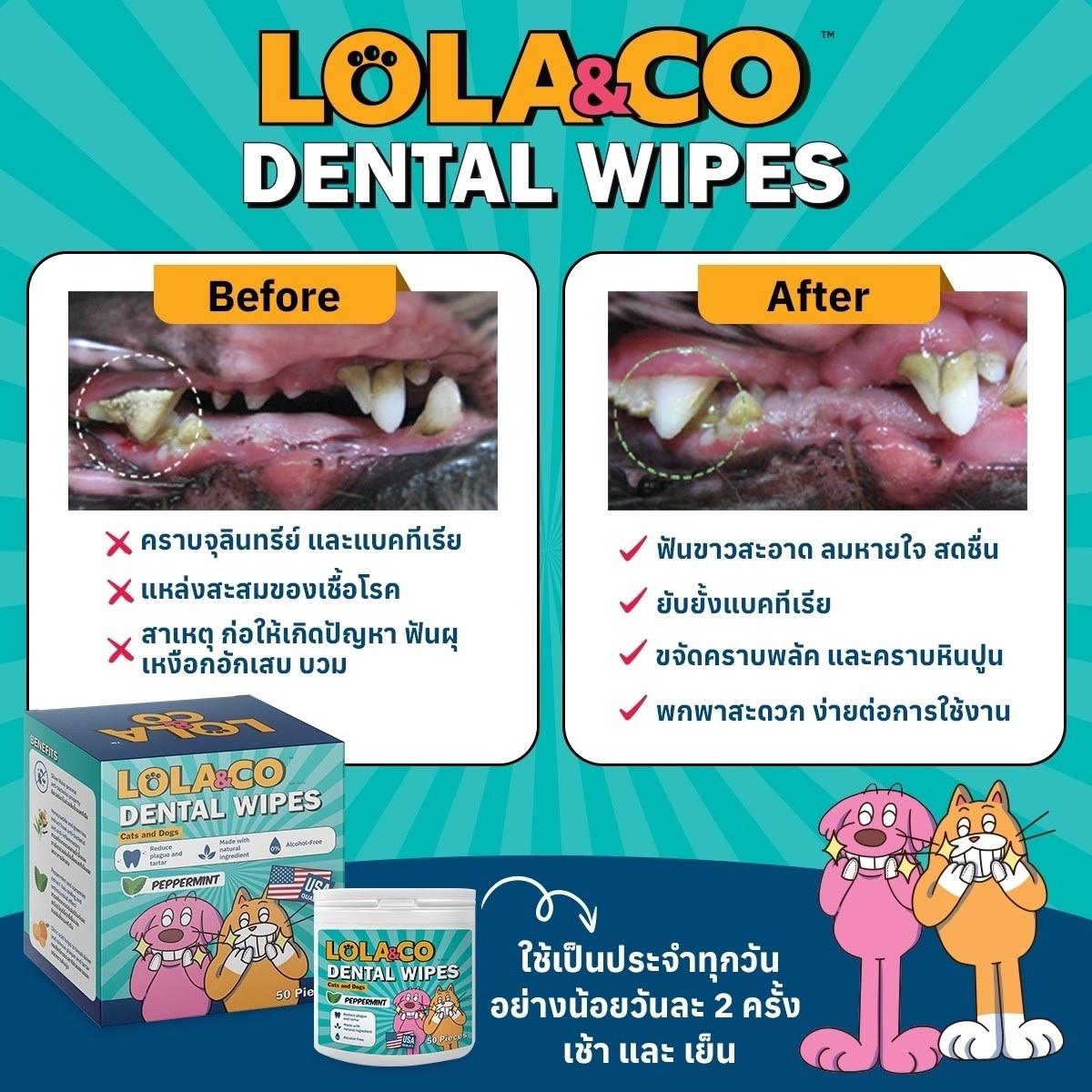 Lola&CO Ear Wipes, Eye Wipes, Dental Wipes แผ่นเช็ดทำความสะอาดสัตว์เลี้ยง ขนาด 50-120Pcs.