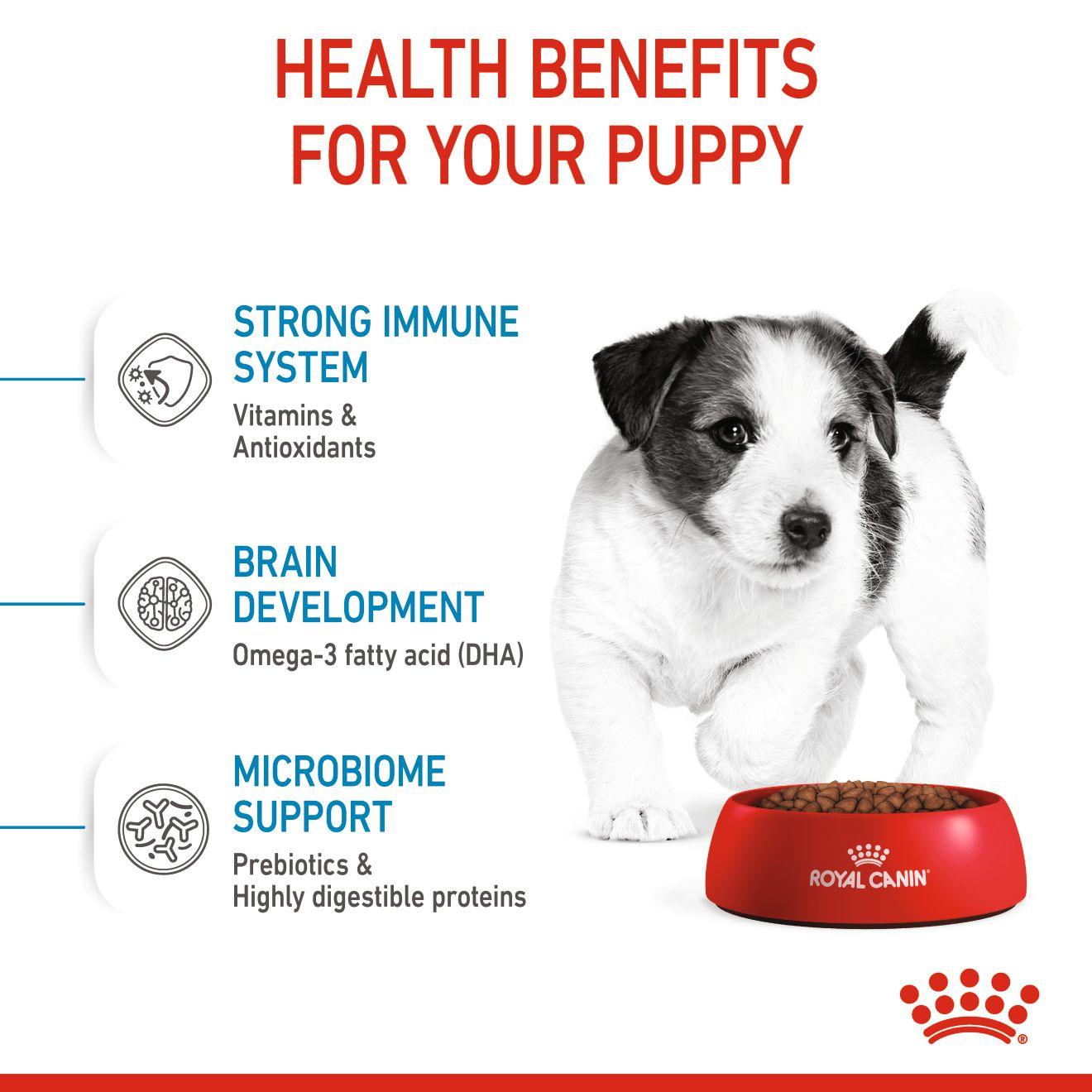 [800g] ROYAL CANIN โรยัล คานิน อาหารลูกสุนัข พันธุ์เล็ก ชนิดเม็ด (MINI PUPPY)