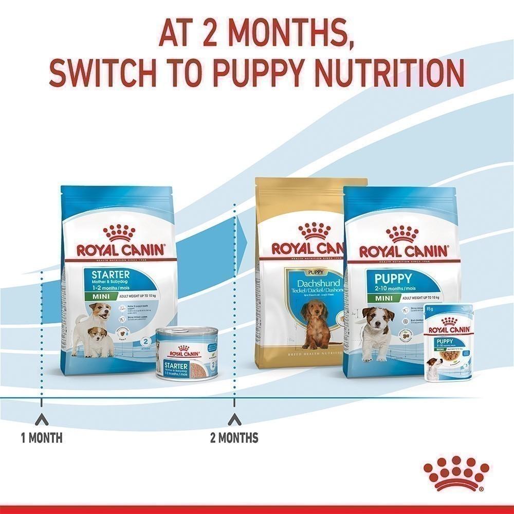 [1kg.] Royal Canin Mini Starter Mother & Baby Dog 1 กก. อาหารเม็ดแม่สุนัขและลูกสุนัขหย่านม พันธุ์เล็กอายุ 1-2 เดือน (โรยัล คานิน)