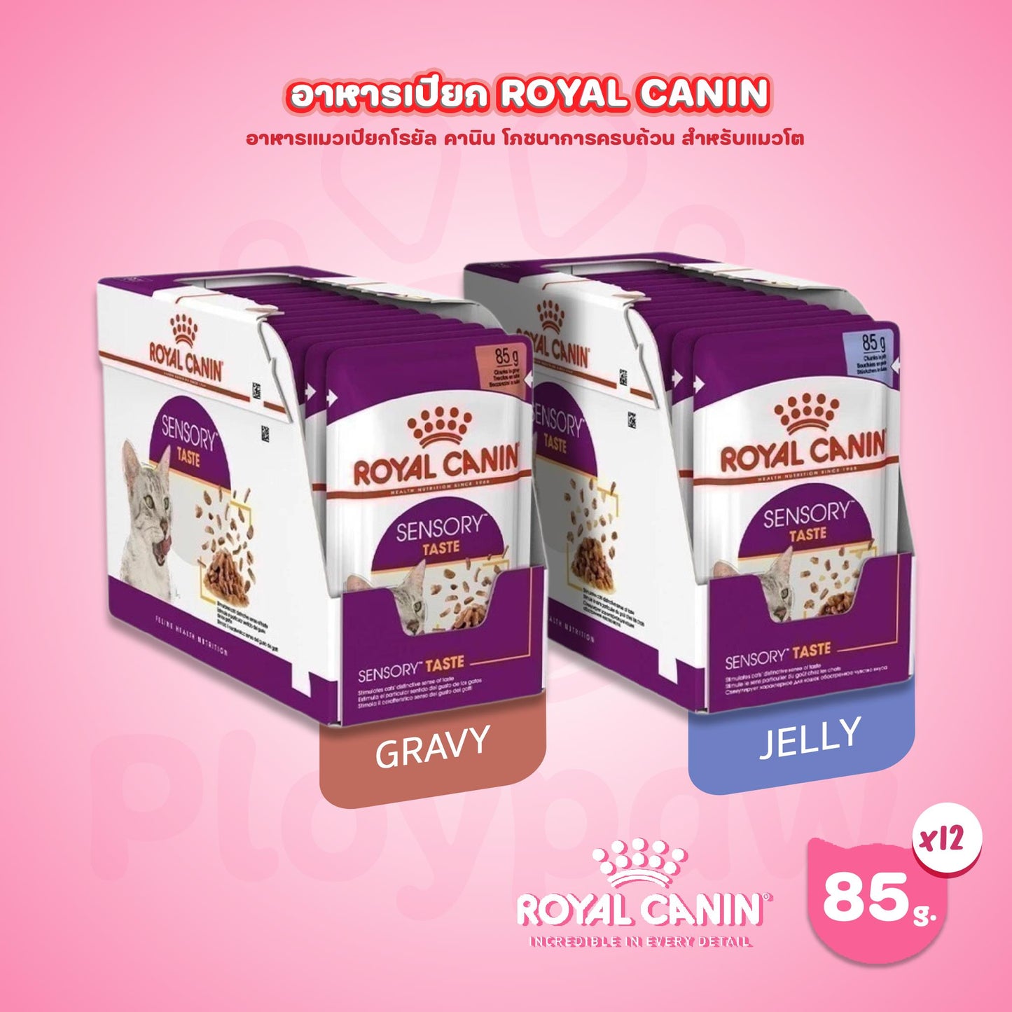 [ยกกล่อง 12 ซอง] Royal Canin Sensory Taste Pouch อาหารเปียกแมวโต กินอาหารยาก เลือกกิน รสชาติพิเศษ อายุ 12 เดือนขึ้นไป (Wet Cat Food, โรยัล คานิน)