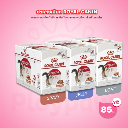 [ยกกล่อง 12 ซอง] Royal Canin Instinctive Pouch อาหารเปียกแมวโต อายุ 12 เดือนขึ้นไป (เจลลี่, Wet Cat Food, โรยัล คานิน)