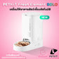 PETKIT Fresh Element SOLO ประกันศูนย์ไทย 1 ปี เครื่องให้อาหารสัตว์เลี้ยงอัตโนมัติ ขนาดความจุ 3 ลิตร