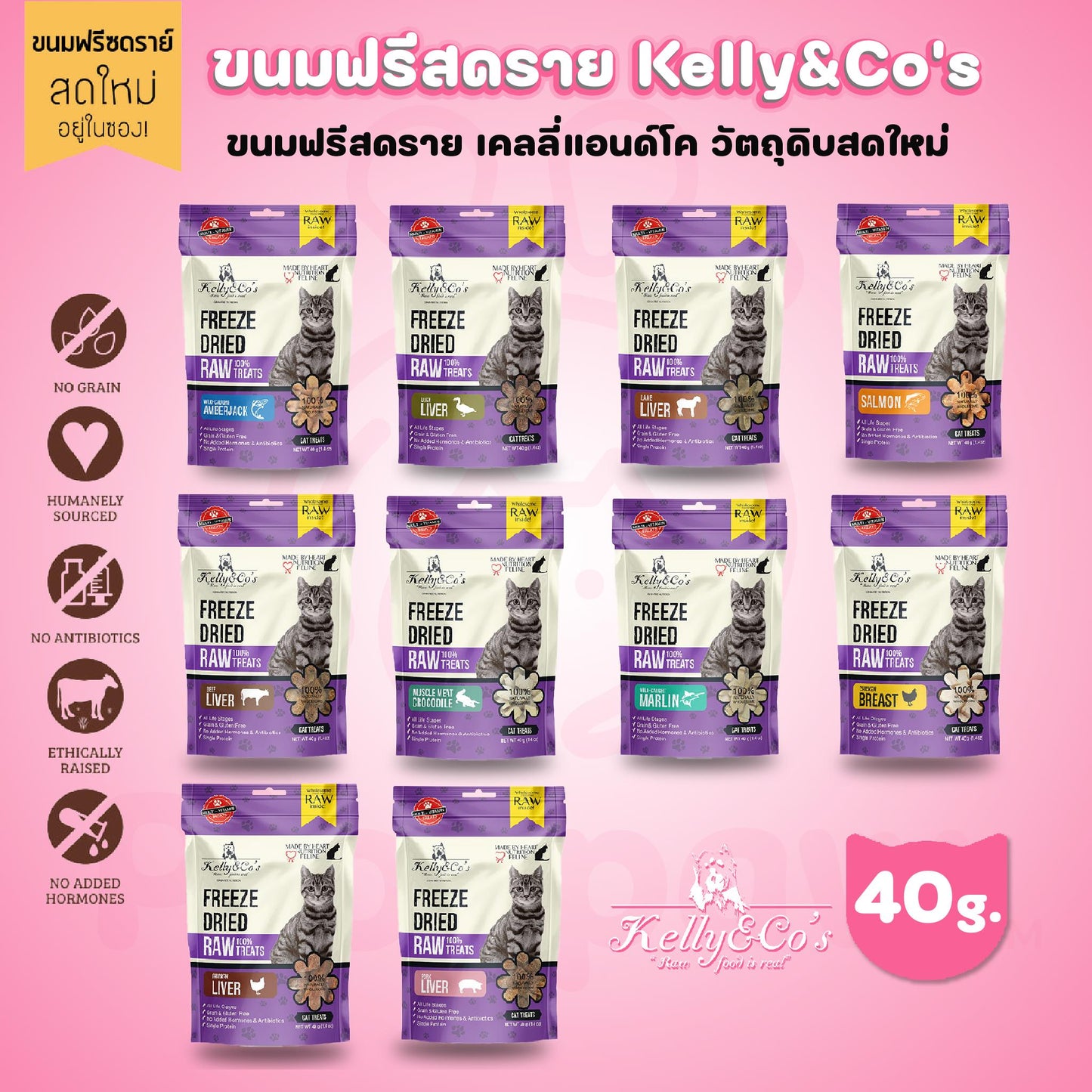 Kelly&Co's Freeze Dried ขนมฟรีซดราย ซิงเกิ้ลทรีทส์ ฟรีเมี่ยม เคลลี่แอนด์โคสำหรับแมว ขนาด 40 กรัม