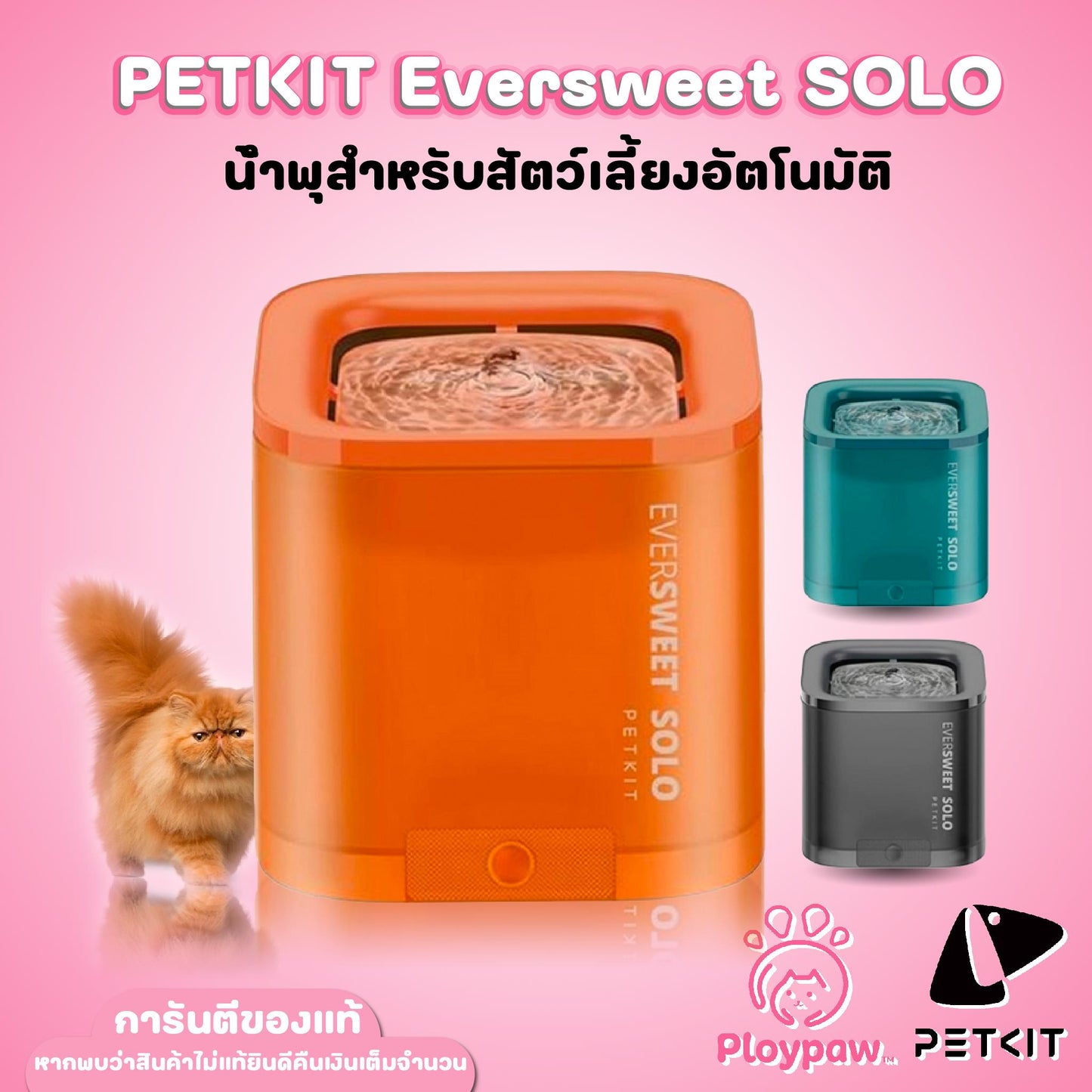 PETKIT Eversweet SOLO (Global Version) ประกันศูนย์ไทย 1 ปี น้ำพุแมวอัตโนมัติ