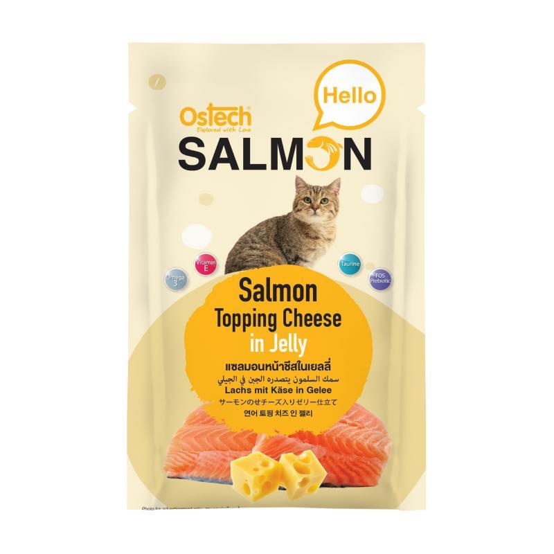 [ยกโหล 12 ซอง] Ostech Hello Salmon อาหารเปียกแมวออสเทค ฮัลโหล แซลมอน ในเยลลี่ เนื้อแซลมอนเน้นๆ ขนาด 70 กรัม