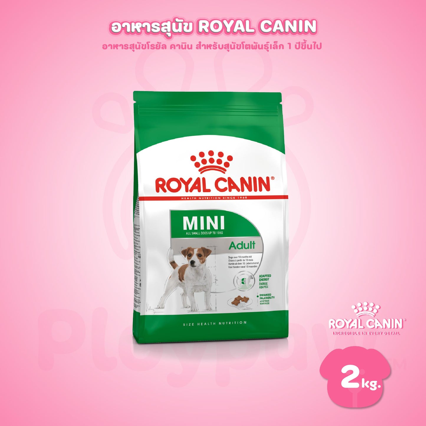 [2 kg.] ROYAL CANIN โรยัล คานิน อาหารสุนัขโต พันธุ์เล็ก ชนิดเม็ด (MINI ADULT)