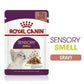 [ยกกล่อง 12 ซอง] Royal Canin Sensory Smell Pouch อาหารเปียกแมวโต กินอาหารยาก เลือกกิน กลิ่นหอมพิเศษ อายุ 12 เดือนขึ้นไป (,Wet Cat Food, โรยัล คานิน)