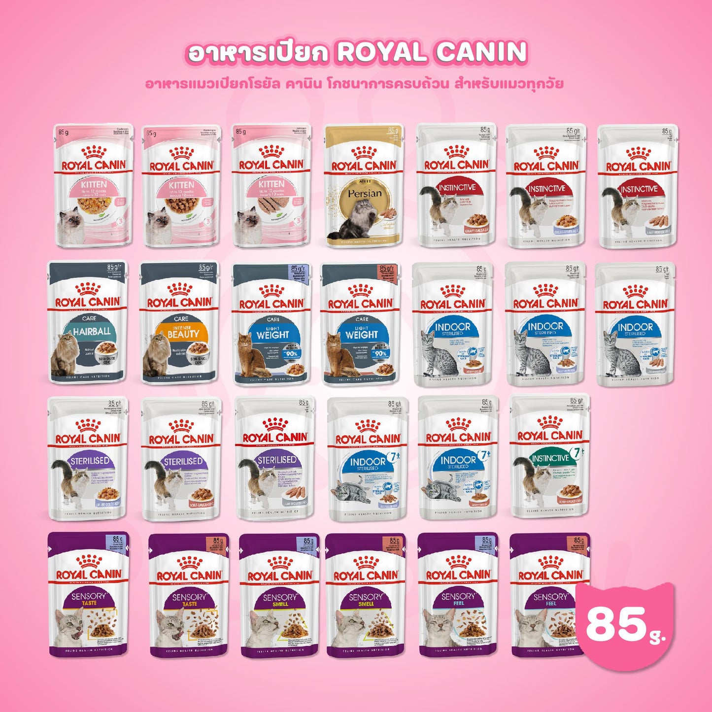 [ปลีก 1 ซอง] ROYAL CANIN Pouch อาหารเปียก รอยัล คานิน  สำหรับแมวทุกช่วงวัย ขนาดซอง 85 กรัม(g.)